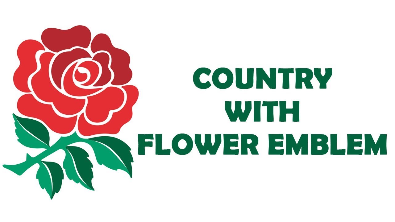 Country With Flower Emblem upscale furniture stores