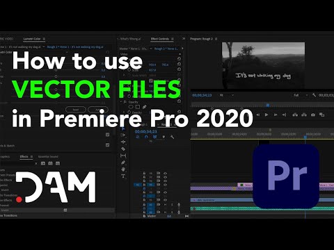 How to Use Vector files in Adobe Premiere Pro 2020 - YouTube