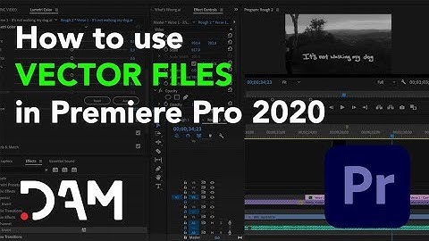 How to Use Vector files in Adobe Premiere Pro 2020