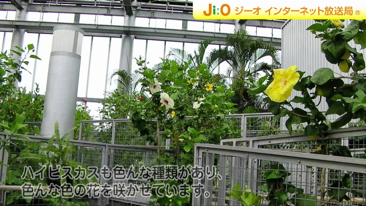みとろフルーツパーク 加古川市 Jiotv Youtube