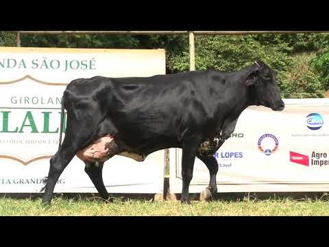 LOTE 24   LEILÃO SJ LALU   DIA 2 DE MAIO, DOMINGO, 10HS   TRANSMISSÃO REMATEWEB COM PLUS