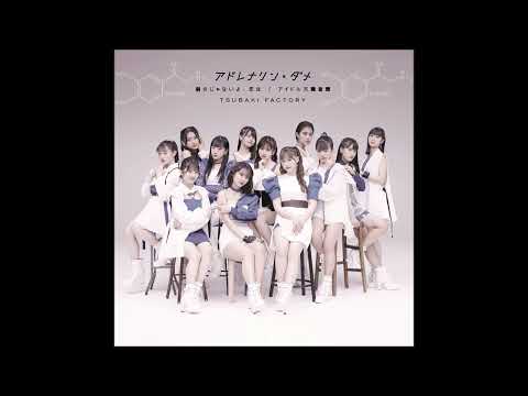 Tsubaki Factory - アドレナリン・ダメ (Adrenaline Dame) (Instrumental)