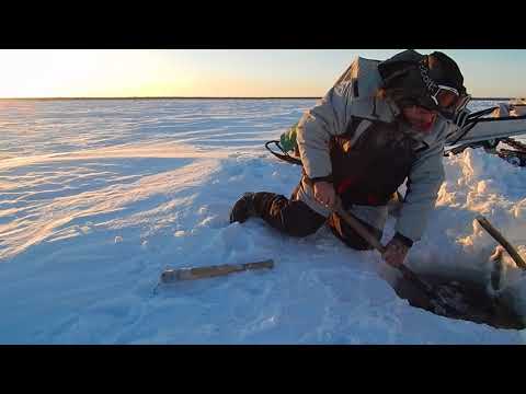 Рыбалка.Налим и снова мороз..26.11.2017г
