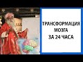 Садхгуру | Как практика влияет на мозг | Рептильный мозг [Шамбхави Махамудра]