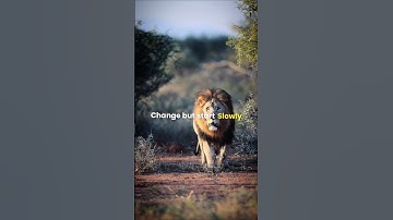 sigma rule 🔥 change but start slowly 🔥#motivation #motivationalquotes #shorts