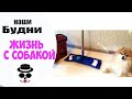 ГЕНЕРАЛЬНАЯ УБОРКА | Жизнь с Собакой