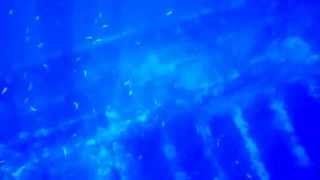 世界一の沈船「富士川丸」シュノーケリング-5
