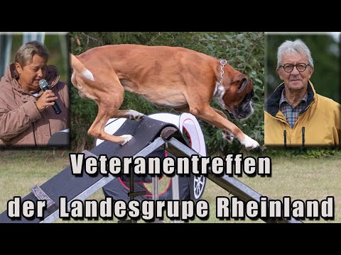 Veteranentreffen 2019 / Boxer-Klub Landesgruppe Rheinland