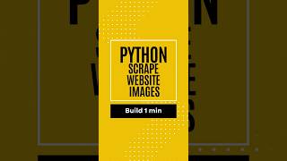 Scrape Image URLs from a Website with Python 🖼️ | BeautifulSoup #shorts
