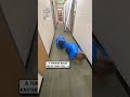 Hilarious Ikea bag race 🏅😂🛍️                            🎥: TikTok / renee.kellyyy