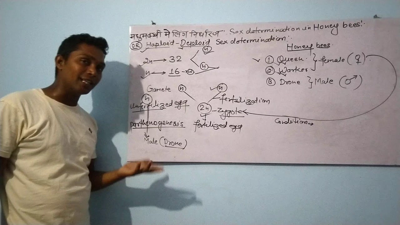 Genetics - YouTube