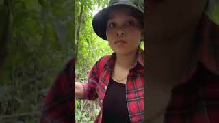 ដំណើរផ្សងព្រេង