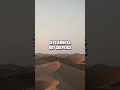 The Whispering Sands of the Namib