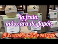 La fruta más cara de #Japón: ¡Un melón 250 euros! ¡Una mandarina 6 euros! ¿Vale la pena?