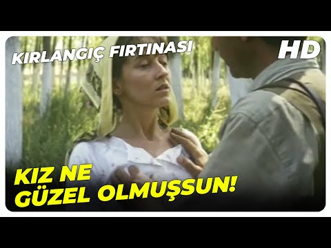 Kırlangıç Fırtınası - Kız Ne Güzel Serpilmişsin! | Halil Ergün Perihan Savaş Eski Türk Filmi