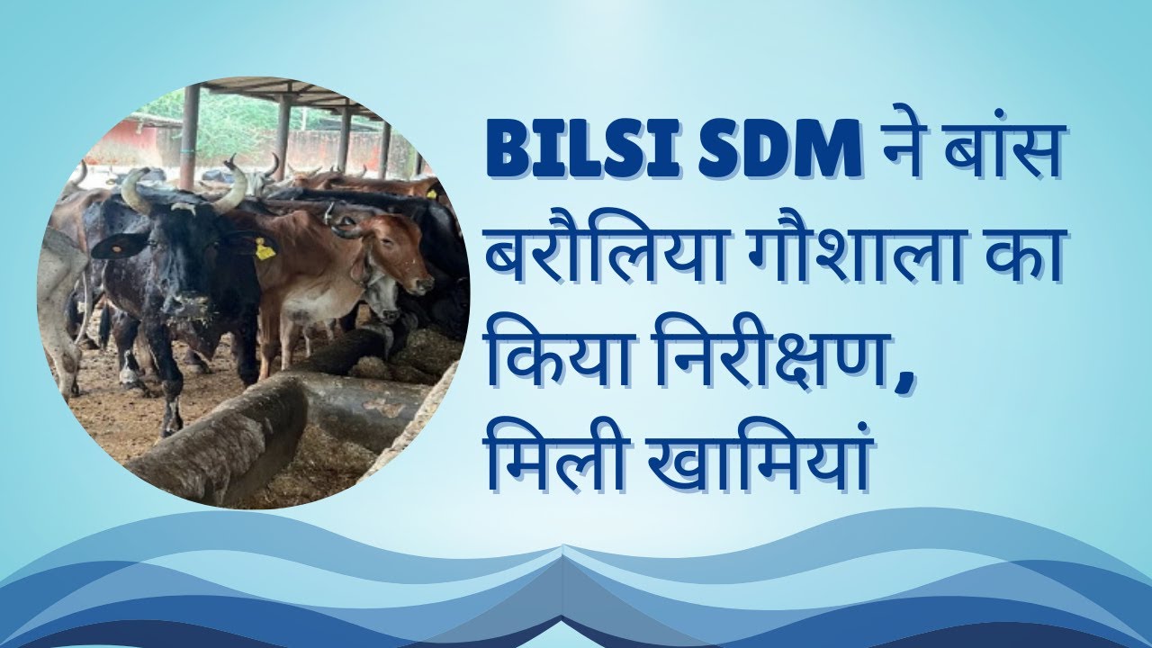 Bilsi SDM ने बांस बरौलिया गौशाला का किया निरीक्षण, मिली खामियां# ...