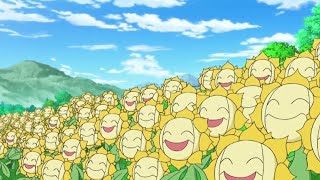 Sunkern And Sunflora Pokemon All Attacks