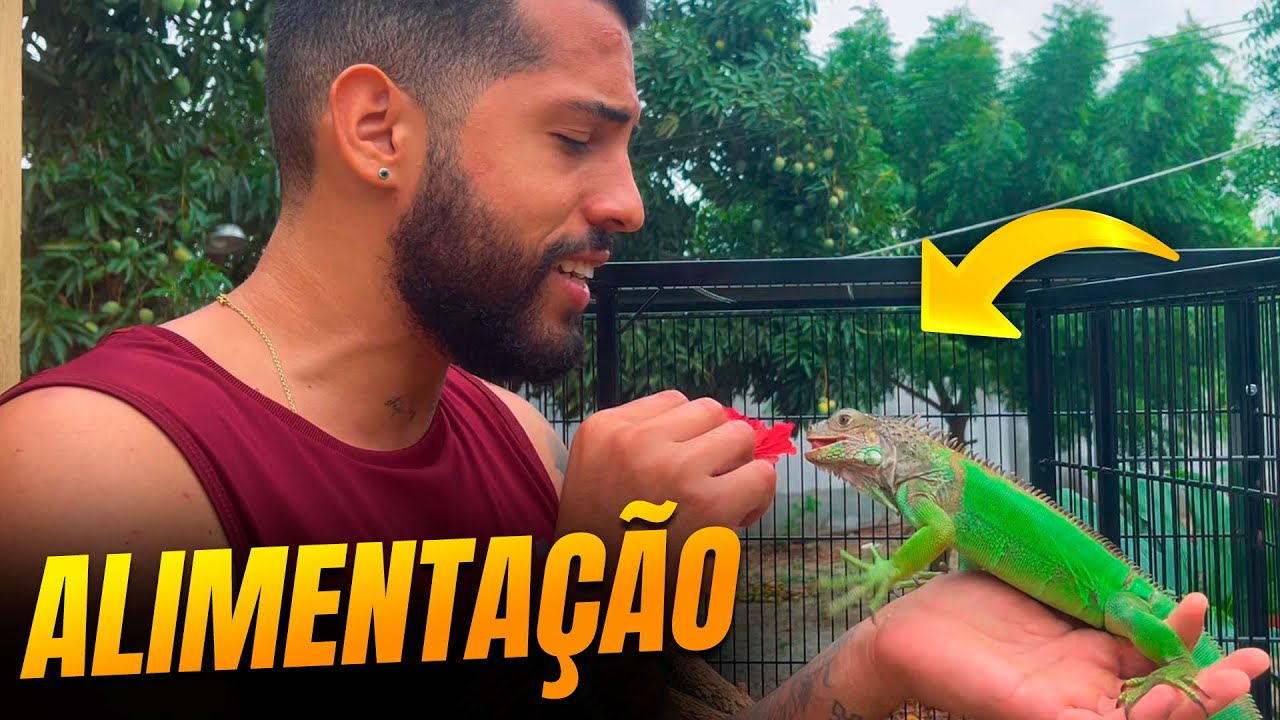 A alimentação das IGUANAS! | George Xavier