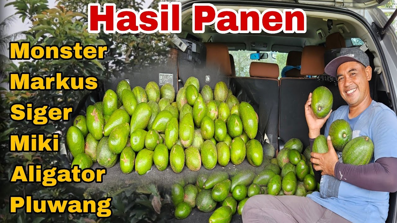 Hasil Panen Kebun Sendiri Dengan Berbagai Jenis Varietas