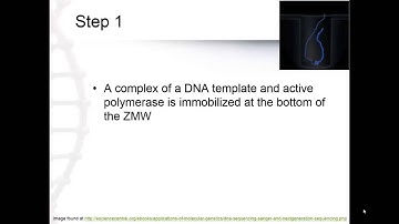 Small Molecule Real Time Sequencing (4.5) Part 1