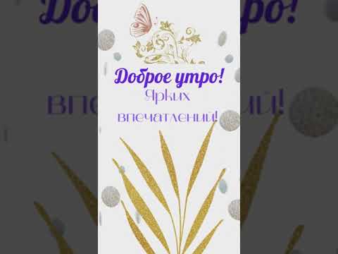 Доброе утро! Ярких впечатлений!