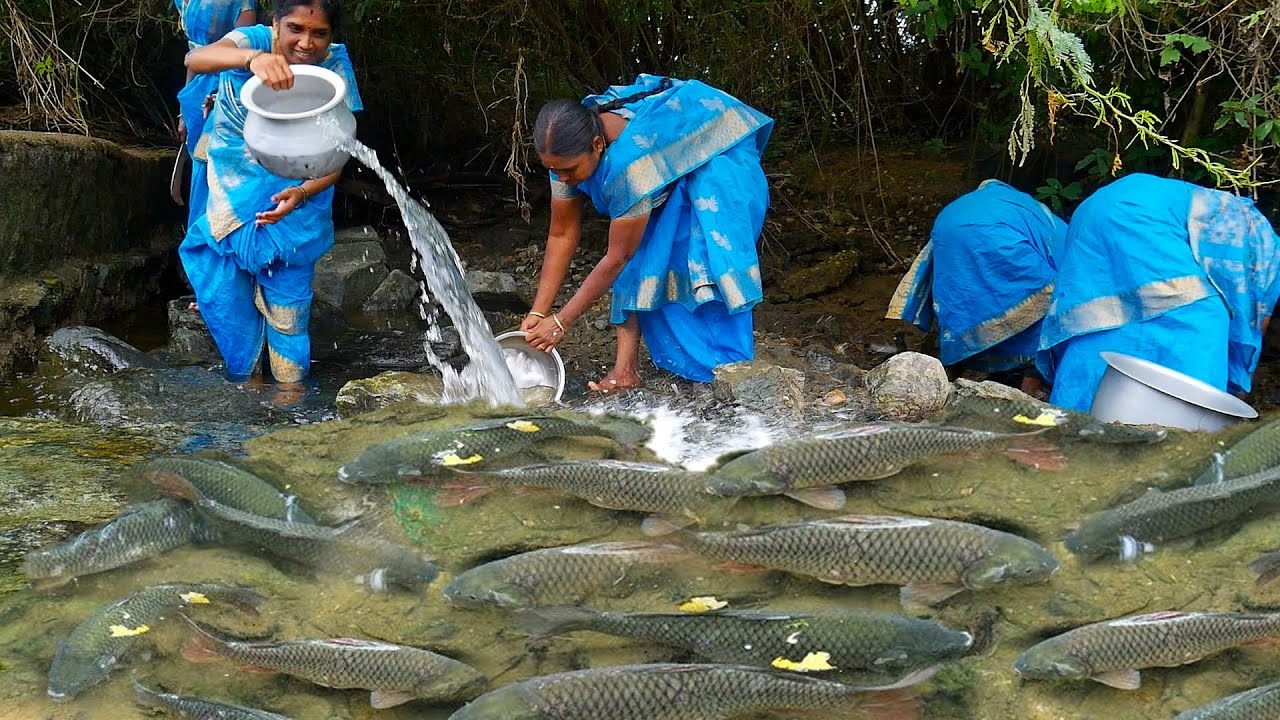 Amazing! Find and Catch Big fish under stone | Unbelievable Fishing | Village Super Cooking