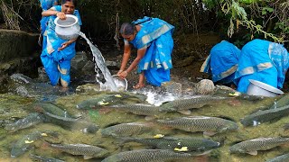 Amazing! Find and Catch Big fish under stone | Unbelievable Fishing | Village Super Cooking