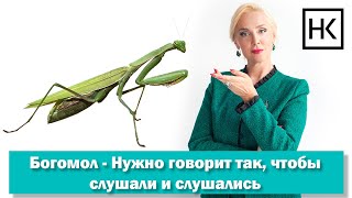 Наталья Козелкова. Как говорить так, чтобы слушали и слушались. Диалоги при животных Наталья Козелкова. Как говорить так, чтобы слушали и слушались. Диалоги при животных