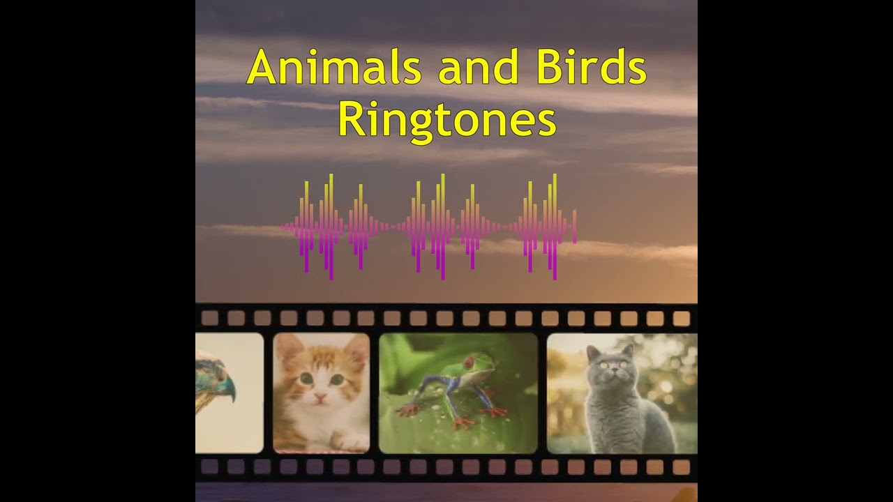 Animals and Birds Ring Tones - YouTube