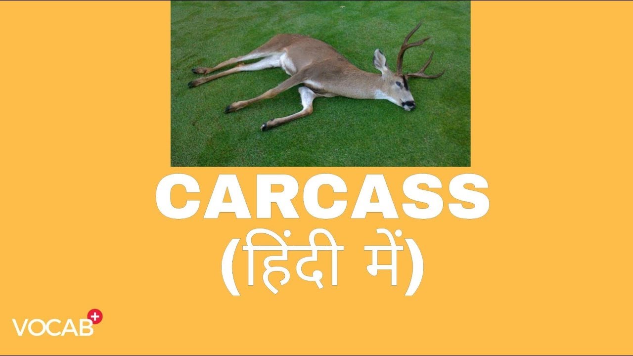 'CARCASS' का हिंदी में अनुवाद। 'CARCASS' MEANING EXPLAINED IN HINDI