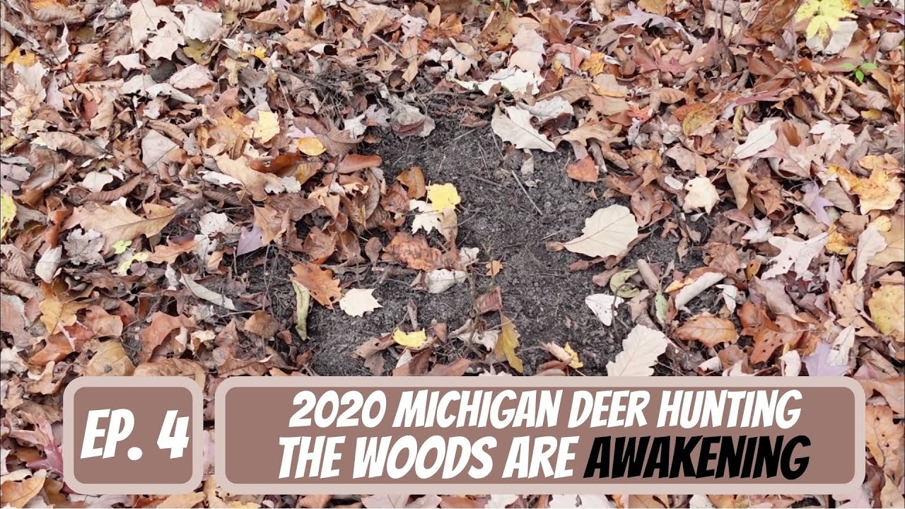 Michigan Deer Hunting Season 2020 Ep 4 The Woods Are Awakening Youtube
