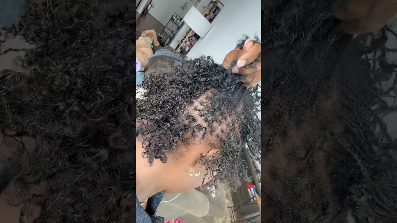 DIY Micro Braidlocs, save yourself $3,000 sis 💅🏾 