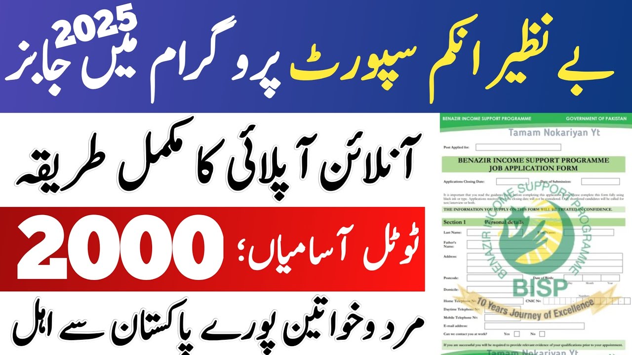 How to apply in BISP jobs 2025 online|how to apply in benazir income ...