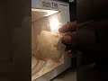 Microwave Sparking Quick Fix Microwave Sparking Quick Fix