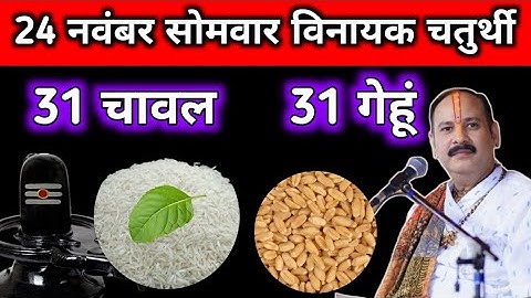 24 नवंबर मार्गशीर्ष सोमवार विनायक चतुर्थी को 31 चावल और 31 गेंहू वाला उपाय जरुर करें || pandit 
