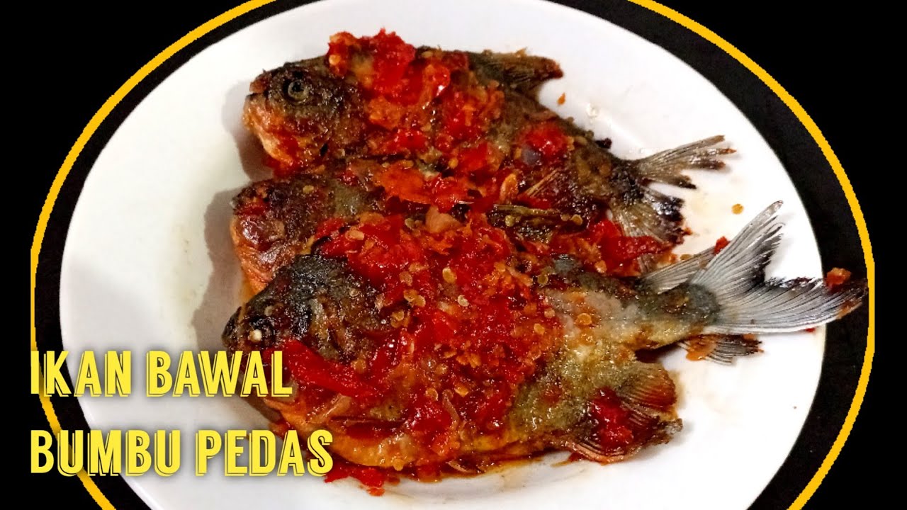Menu buka puasa ikan bawal bumbu pedas||tahu kukus||masak mudah tapi nikmat@DapurDarsa 