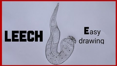 How to draw leech easily/ leech  diagram in easy steps