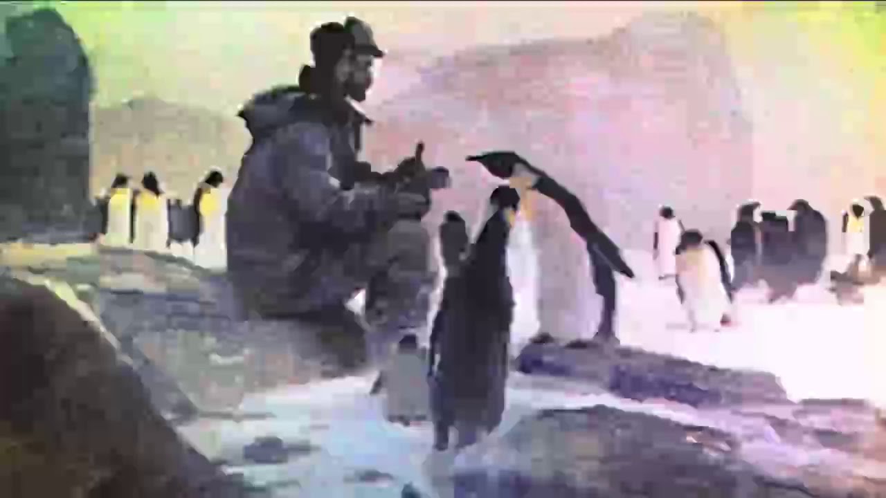 Про пингвинов снегирев занятие в старшей группе. Чтение рассказов г. Снегирева «про пингвинов».. Снегирев про пингвинов. Пингвиний пляж Снегирев.
