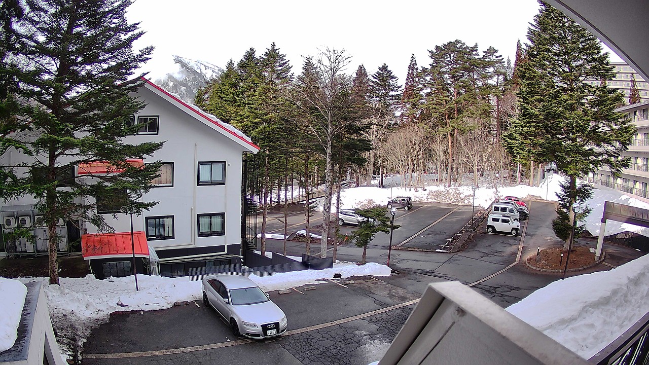 春の気配！雪の下には「ふきのとう」苗場★Echigo Yuzawa Naeba Ski-Resort LIVE Camera　道路状況のLIVEカメラは概要蘭をご確認ください。