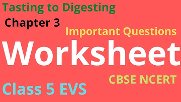 EVS Important Questions Worksheet Class 5  Tasting to Digesting CBSE NCERT