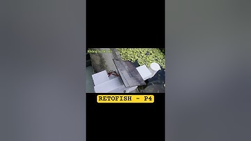 Part 4 - Robot cho cá ăn tự động - Lập trình bộ não Robot #robot #stem #diy #arduino