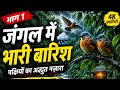 जंगल में बारिश _ PART - 1  Hindi Stroy New “Heavy Rain in Jungle 🌧️ Birds Amazing Nature Moment
