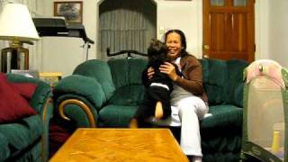 November 2010 jumping from table to couch.avi