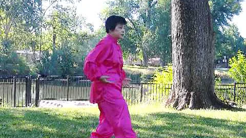 Yang  85  Taichi  , Luming Mei
