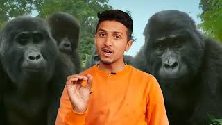 Nepali People Are Dumb Country With Lowest Iq