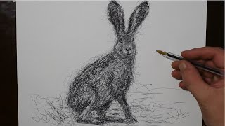 how to draw a jack rabbit awesome scribble art style