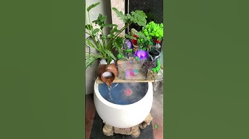 combo tiểu cảnh tuyệt đẹp #thacnuocphongthuy #bonsai