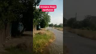 Окуповані Олешки