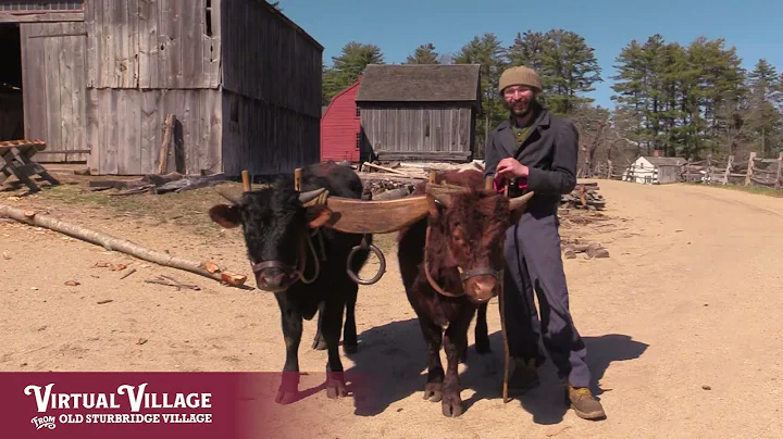 Virtual Village: Red and Don are 1 Year Old! - DayDayNews