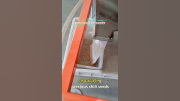 Chili Seed Color Sorter & Sorting Machine: AI Vision System for Pepper, Paprika Seed Grading